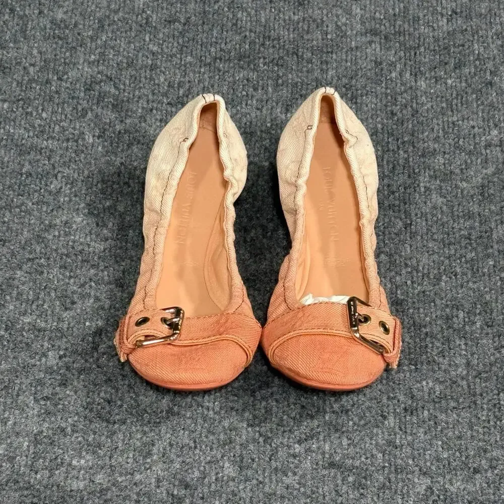 Louis Vuitton brand louis